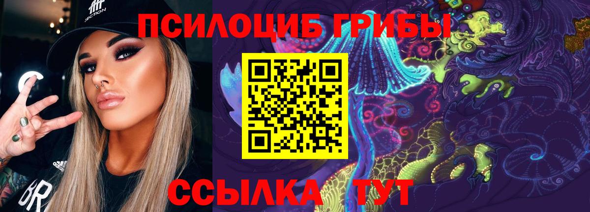 Белая Калитва  Псилоцибиновые грибы MAGIC MUSHROOMS  Галлюциногенные грибы Psilocybine cubensis  Вход с VPN 