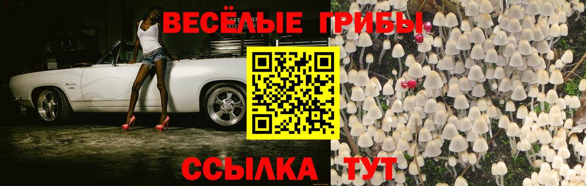 Псилоцибиновые грибы ЛСД Белая Калитва